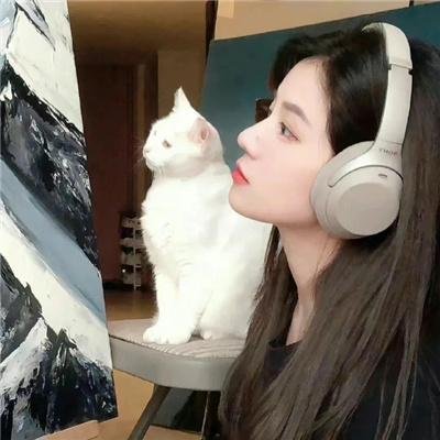 机械怪兽